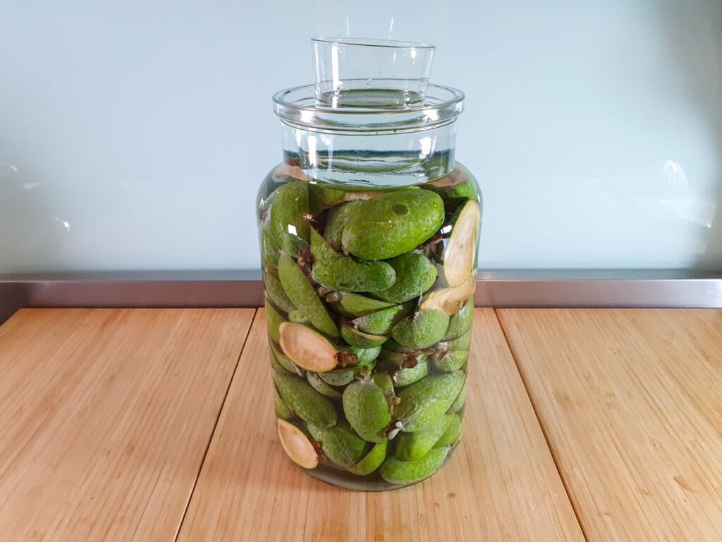 Jar with feijoa skins weighed down by glass.